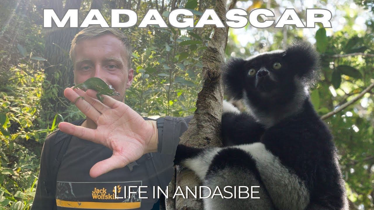 Wild Madagascar | Life In Andasibe 🇲🇬 - Short Film