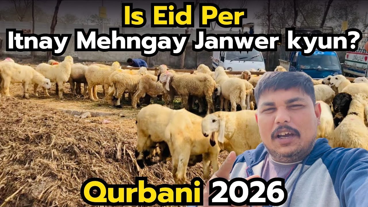 Eid 2026 🐐 Janwaron ke Rate Itne Mehngay Kyun? | Chhatro Ke Latest Rates | Qurbani Mandi Update