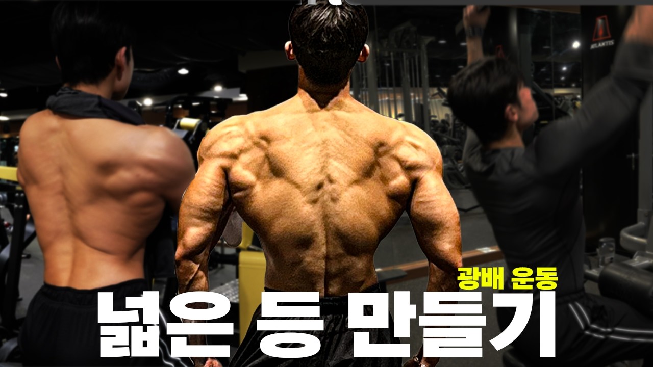 이렇게 운동했더니 등 프레임이 달라졌습니다｜광배 넓히는 디테일 팁
