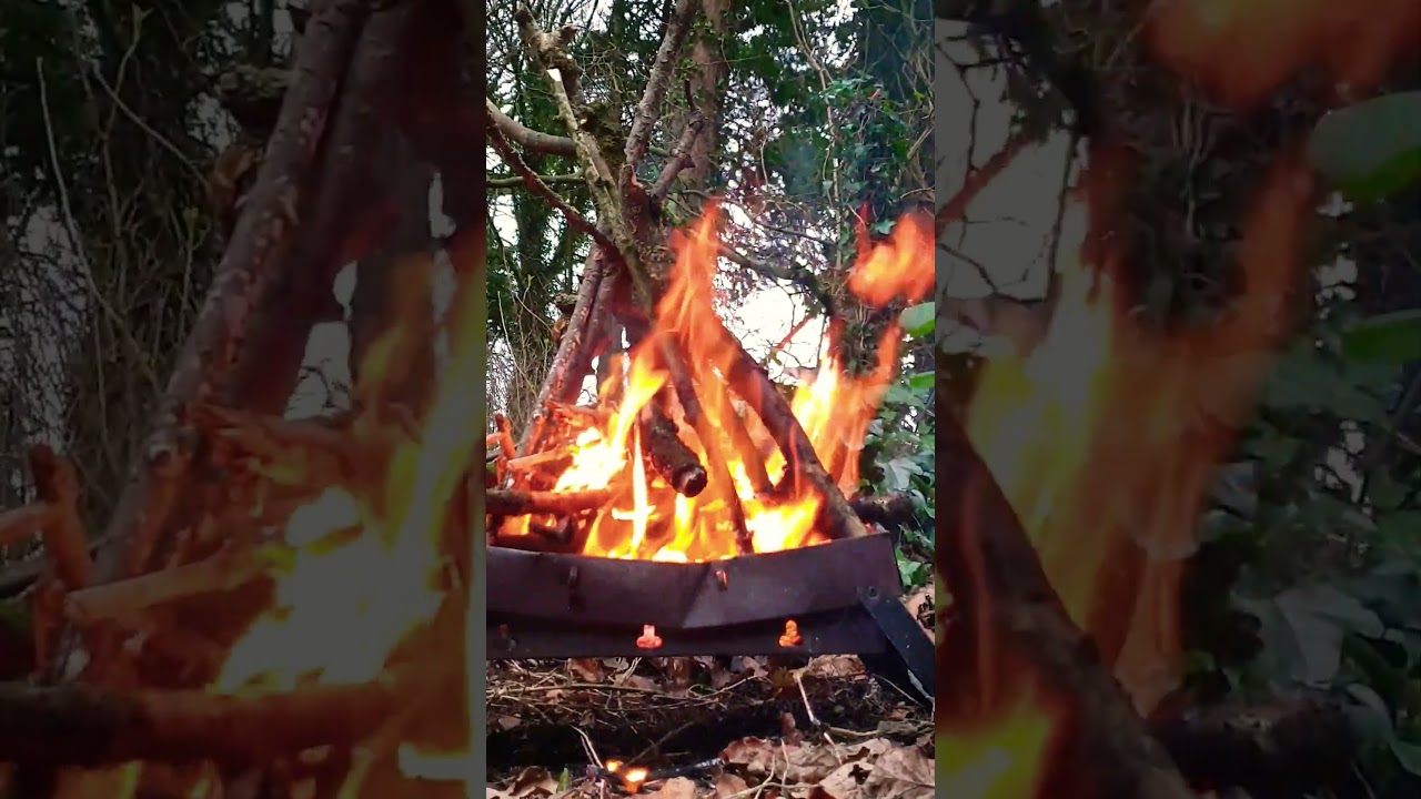 Fire in the forest.  Relaxing and meditation video. Real sounds of nature 4K #fire #4k