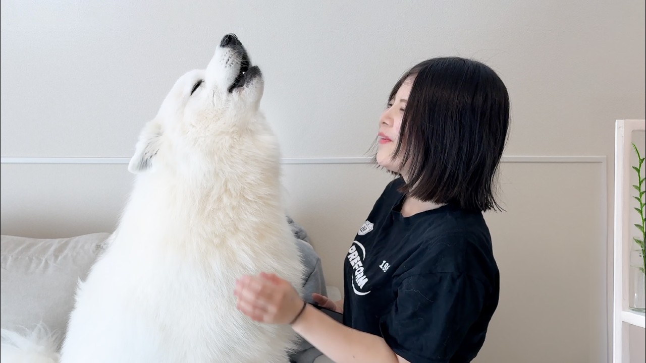 大好きないとこが遊びに来ると嬉しさを何度も遠吠えで伝える犬がかわいすぎました…！