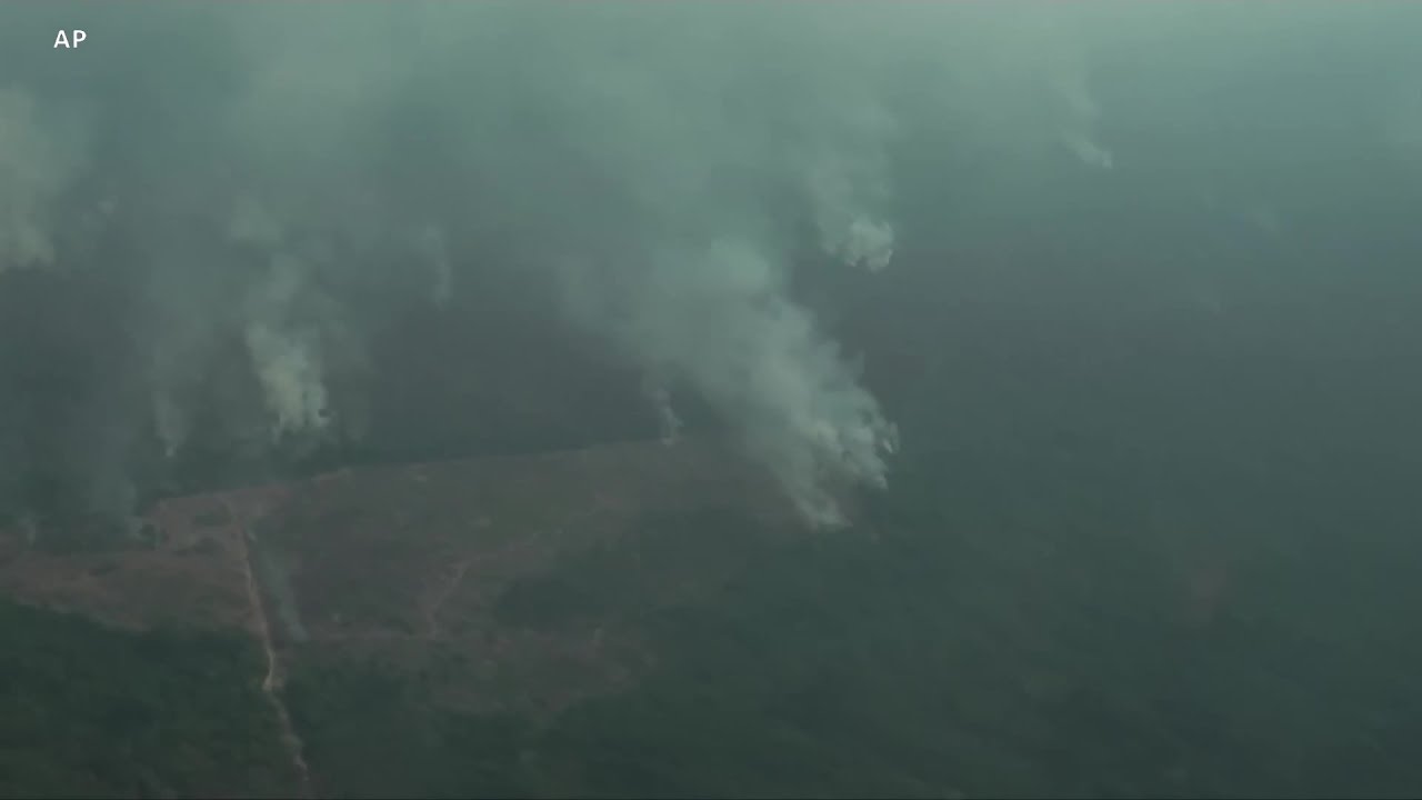 亚马逊雨林遭砍伐破坏严重