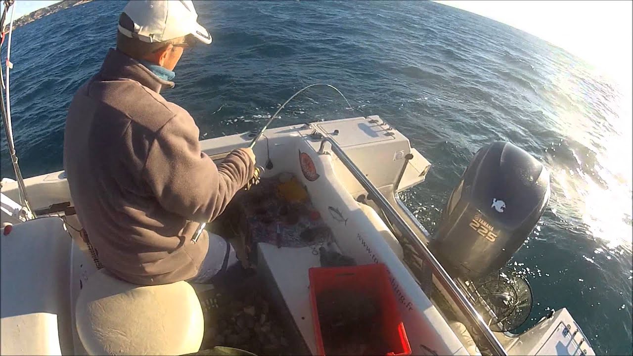 Pêche à la daurade ou dorade 