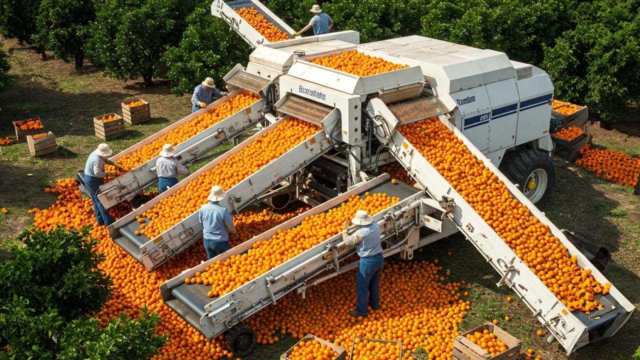 Agricultores Economizam Milhões De Dólares Usando Essas Ferramentas E Máquinas Modernas #3