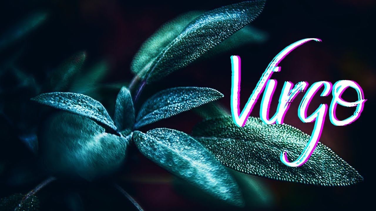 Virgo🌿Holy Smokes! This Is Your Energetic Match💙They See FOREVER With You🌿You V. Them