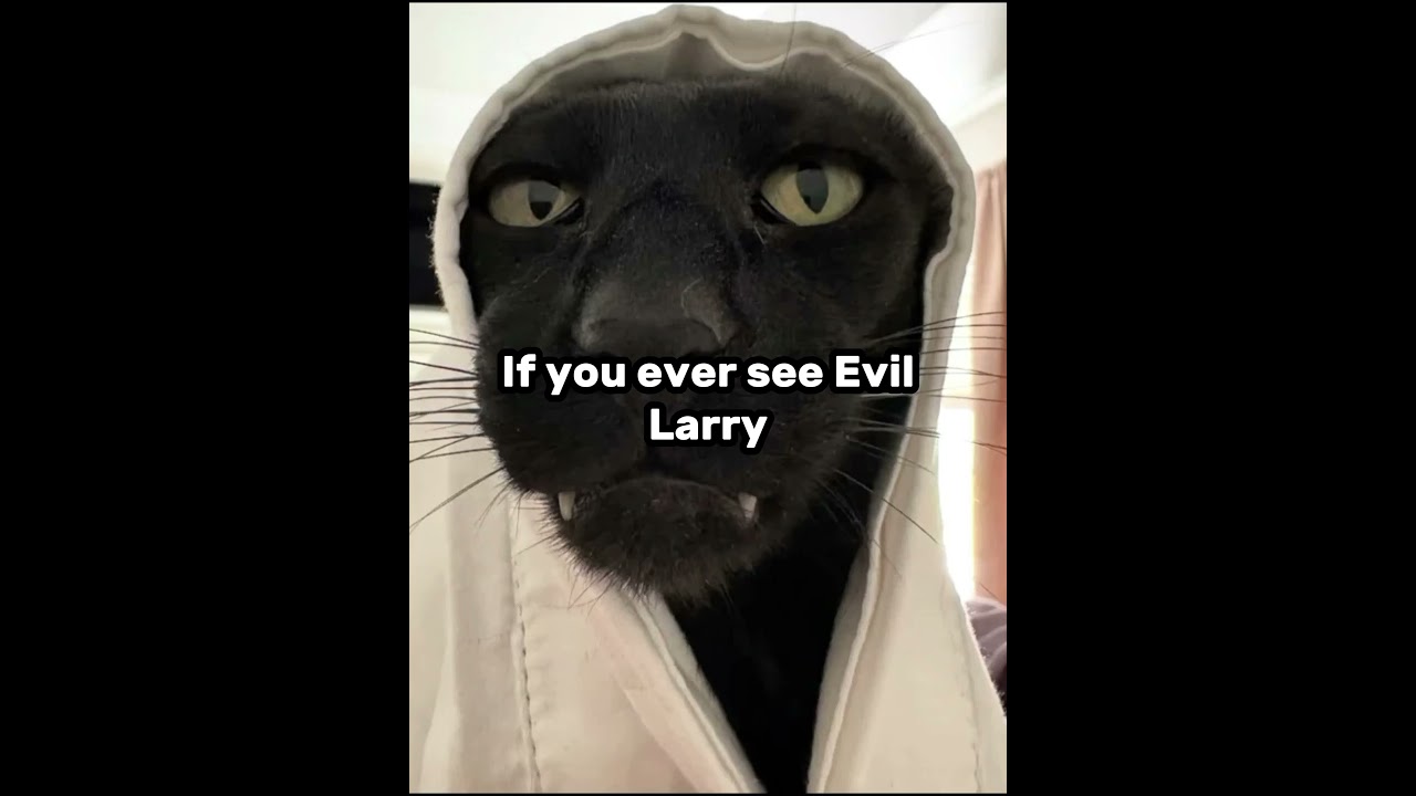 Если когда-нибудь увидишь злого Ларри, сделай это... 🐱 #shorts #кот #shortsfeed #коты