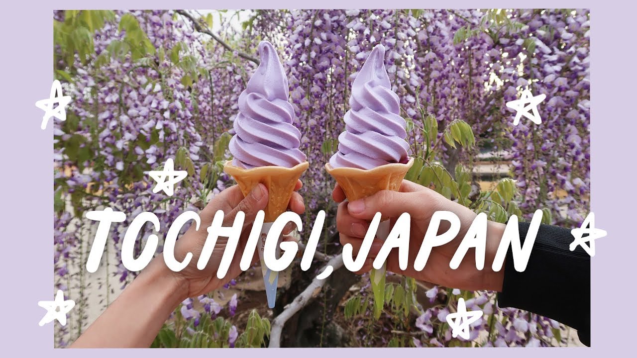 Day Trip to Nikko & Wisteria at Night (Ashikaga Flower Park) | Tochigi Prefecture | Rainbowholic 🌈
