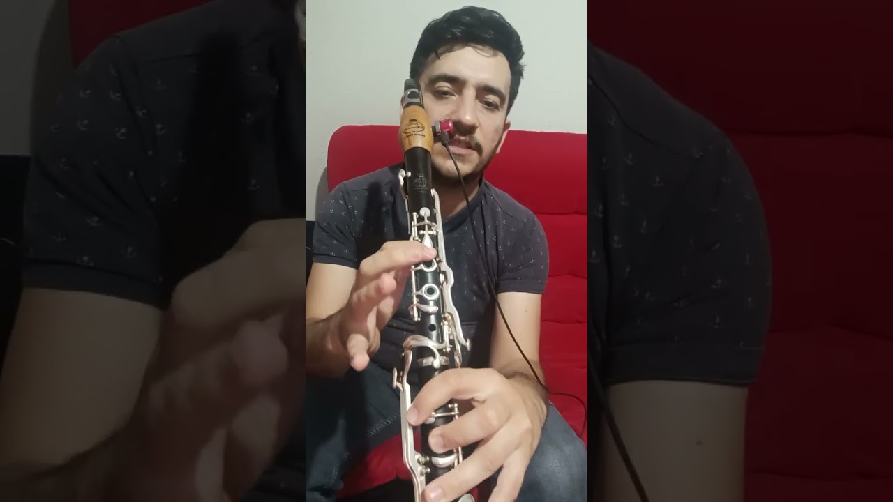 Klarnet eğitim yakın çekim eğitim Begonvil , benim yerimede sev #sezenaksu
