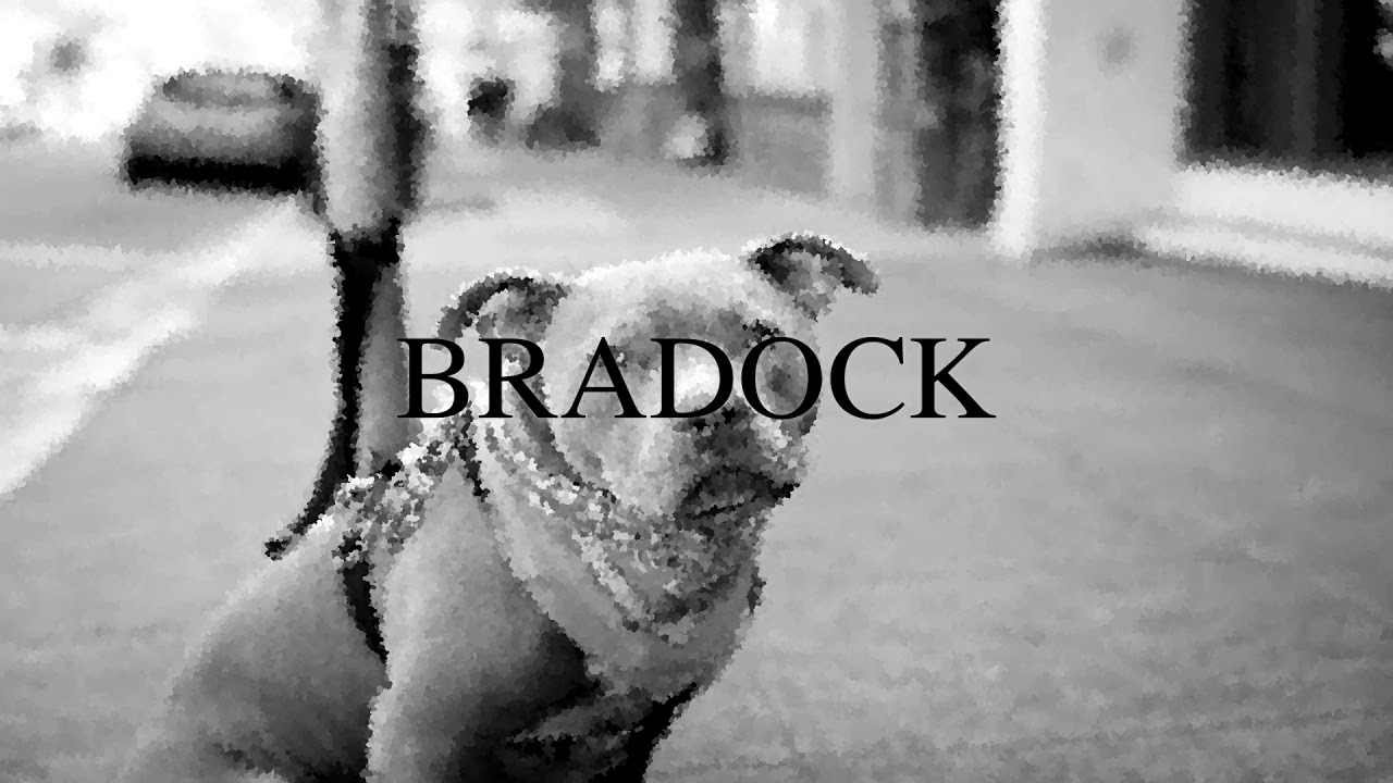 FREE LEALL x Fleezus Type Beat BRADOCK
