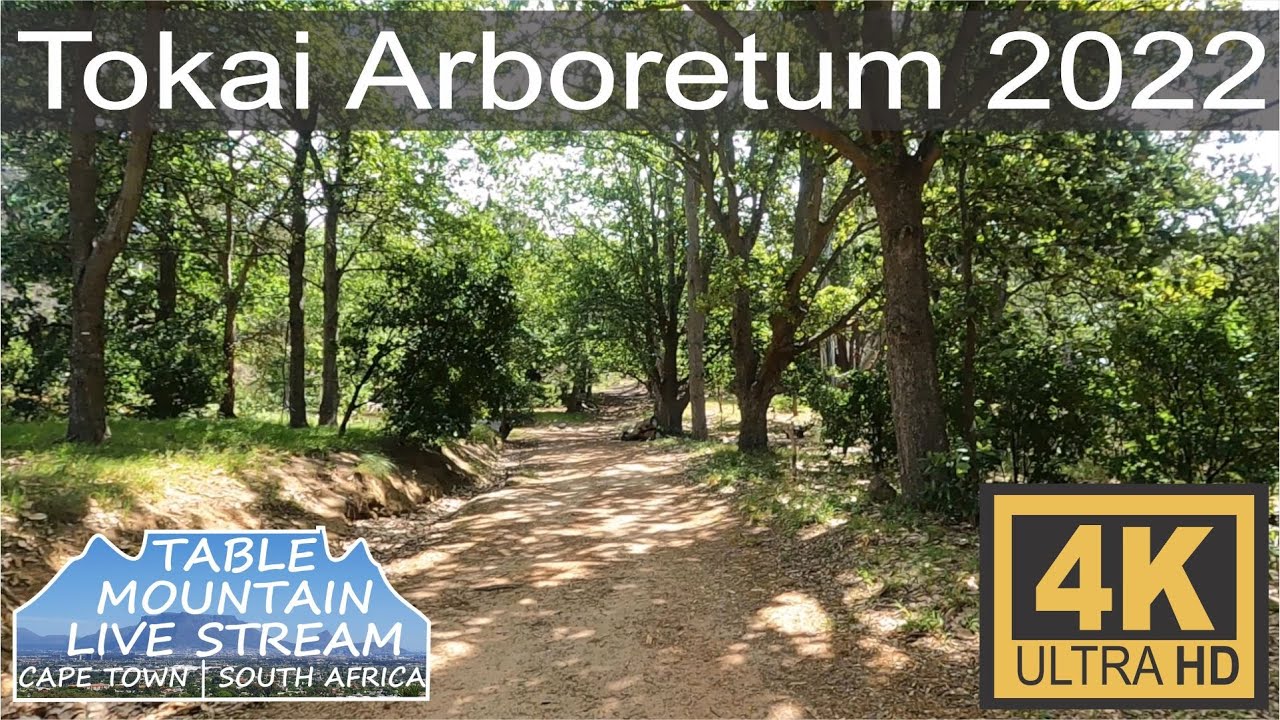 Tokai Arboretum 2022 Walking Tour