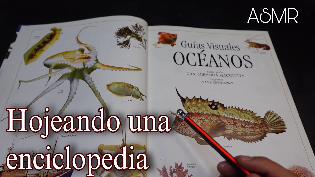 ASMR | Hojeando una enciclopedia de OCEANOS.