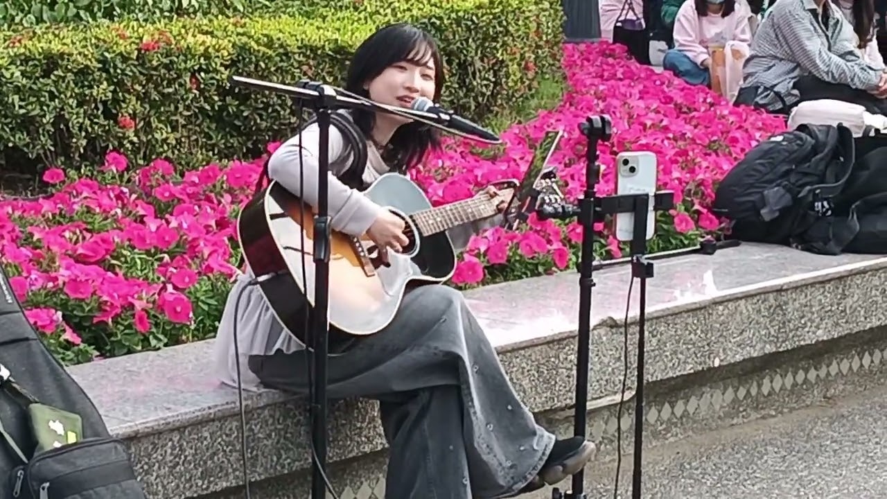 Hakubi【嘉義文化公園音樂會】02 | 20260131