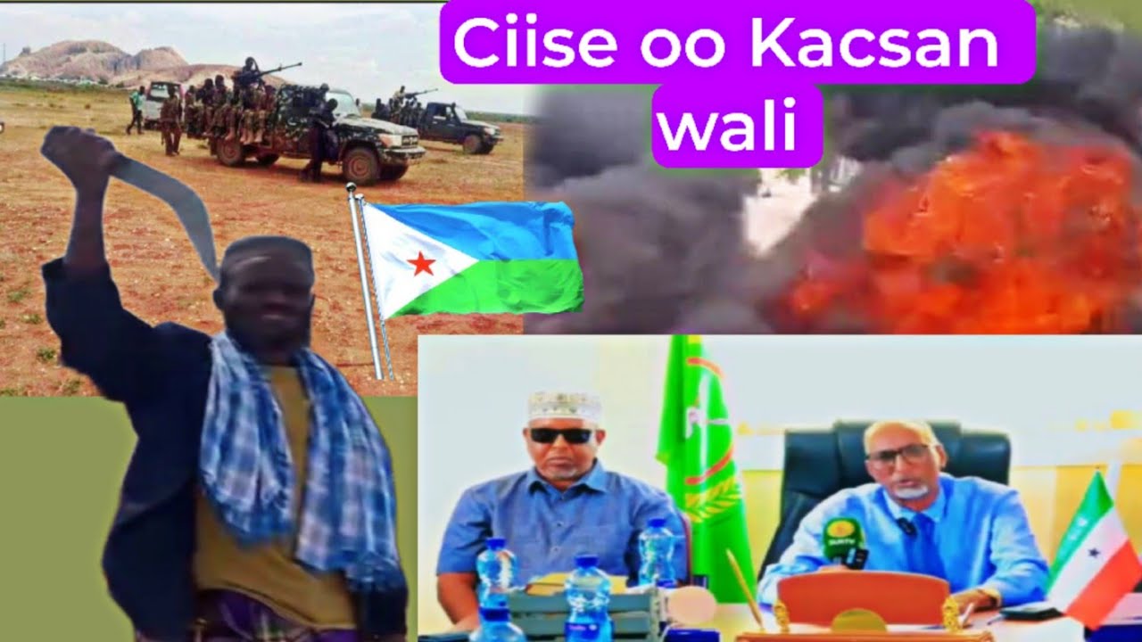 BEESHA CIISE OO KACSAN WALI CEEL GAAL MAXAA KASOCDA SHACABKA & CIIDANKA  OO IS HORTAAGAN. XEER CIISE