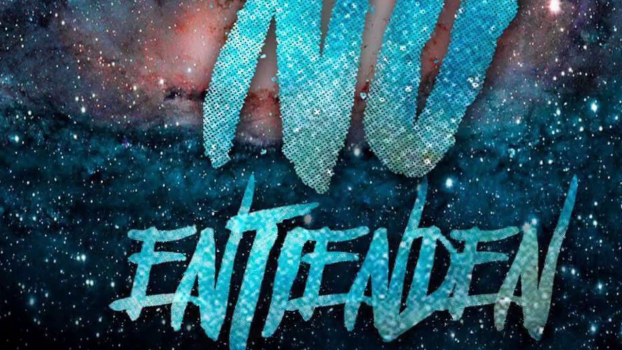 No entienden - Tempo (tiraera)