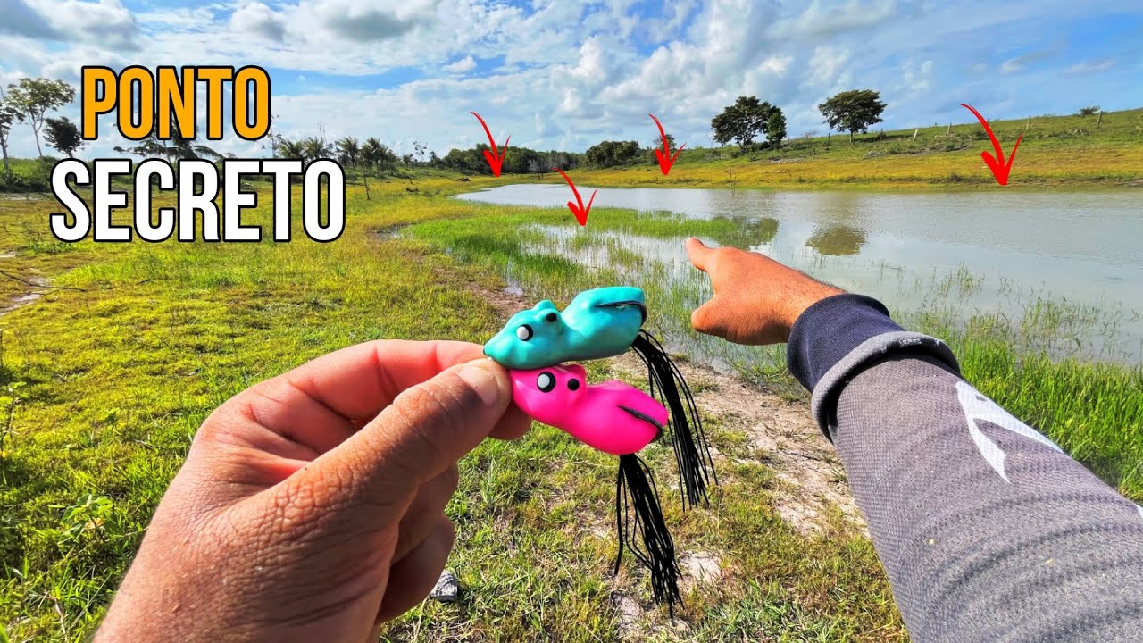 🚨 Encontrei o PARAÍSO das TRAÍRAS!! As BOCUDAS estavam malucas!! PESCARIA de TRAÍRAS🔥