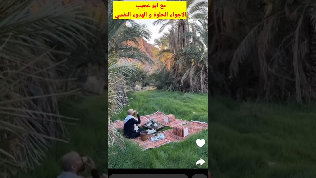 ابو عجب و الأجواء الحلوة