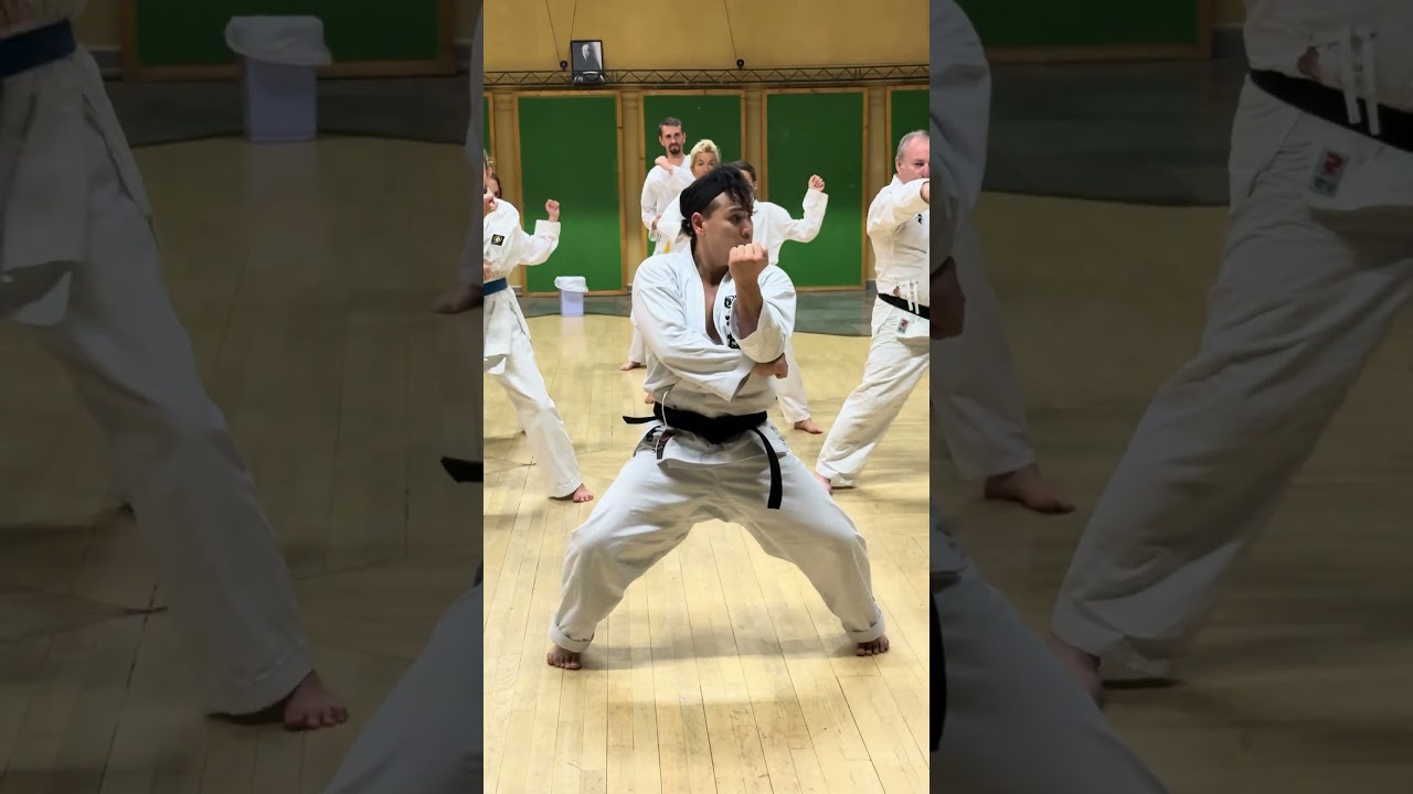 Tekki Shodan kata Shuhari France Tiru Jr Katsu #karate #katatraining #tekkishodan #katatekkishodan