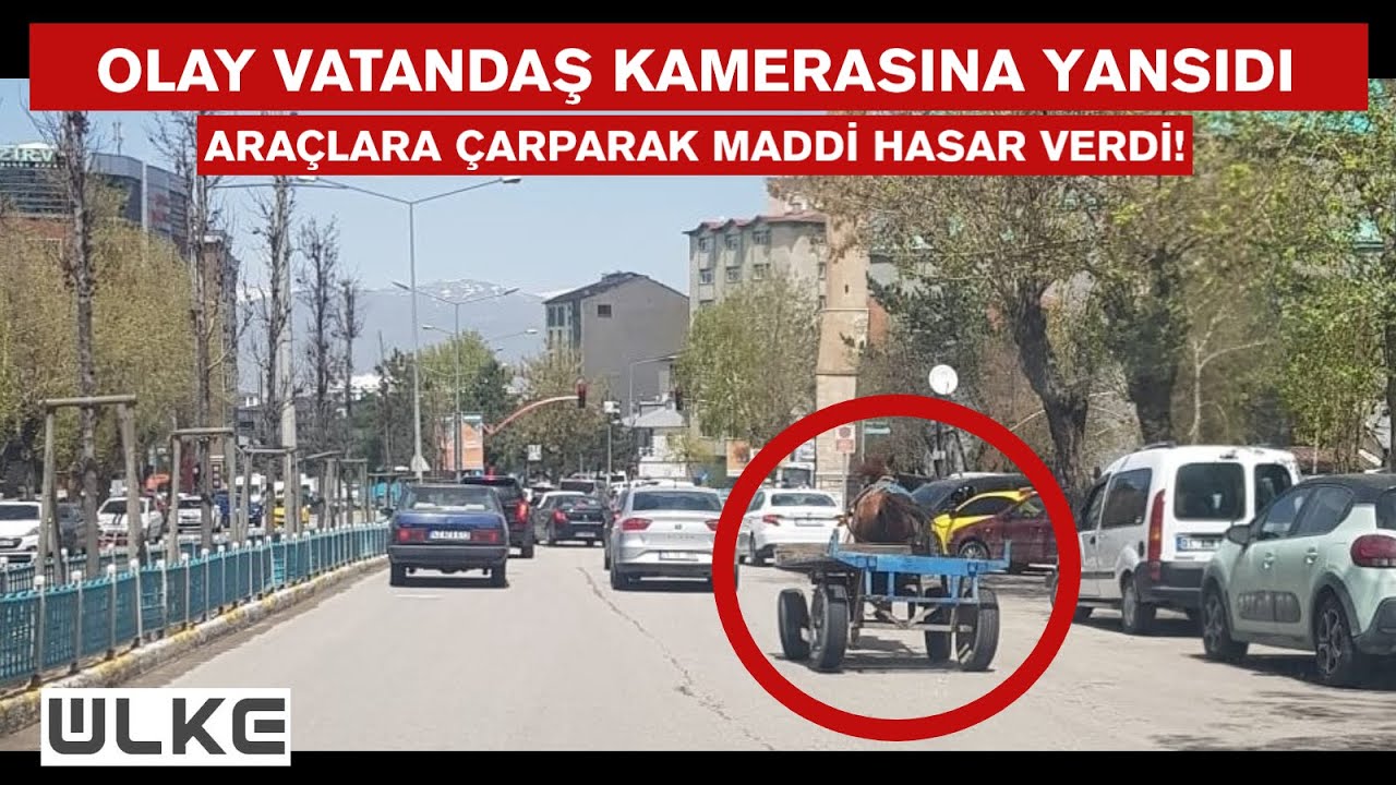 Erzurum’da dörtnala koşan at, trafiği birbirine kattı