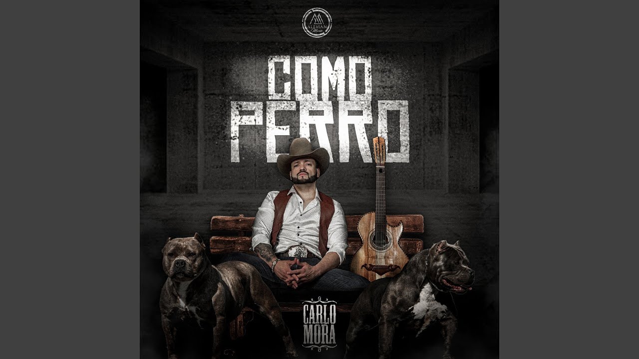 Como Perro