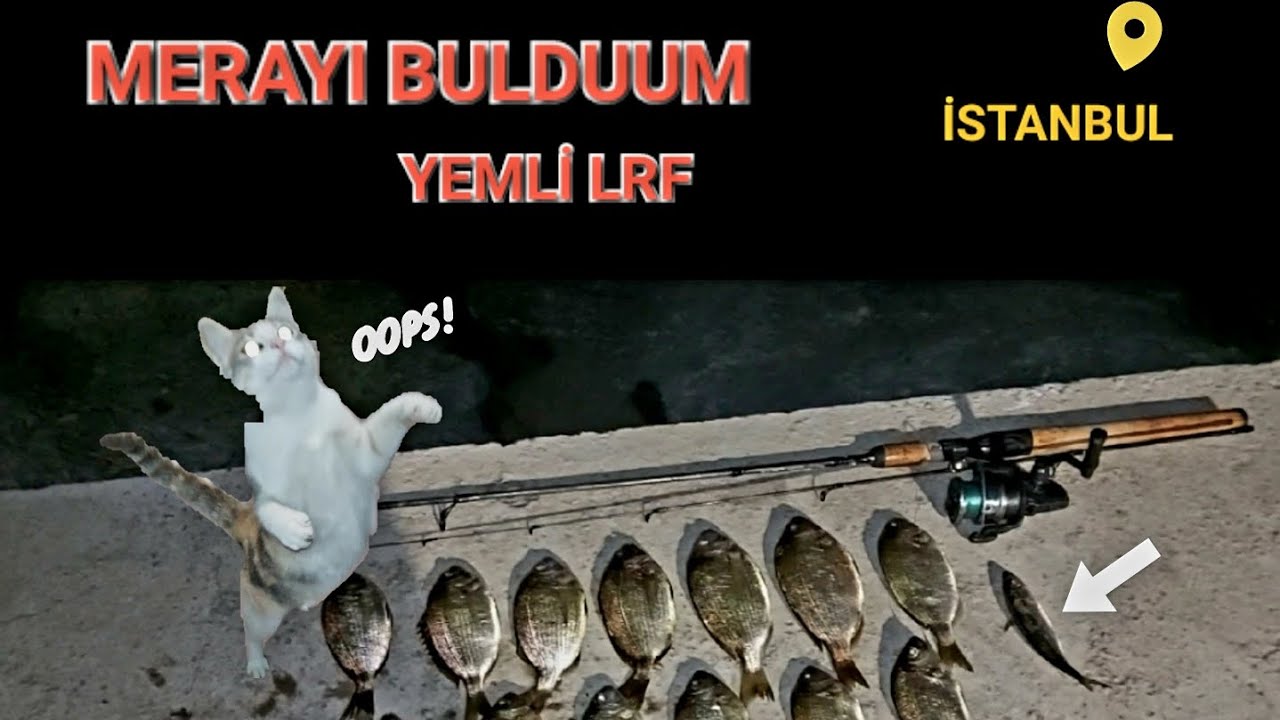 YEMLİ OLTA TAKIMI İLE GECE BALIK AVI YAPTIM  ✅️🐟 / I FISHED AT NIGHT WITH BAIT LINE