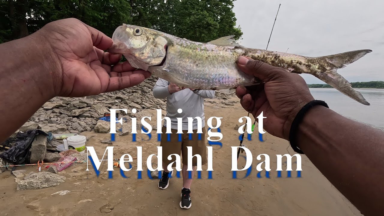 Fishing at Meldahl Dam 6.1.2024