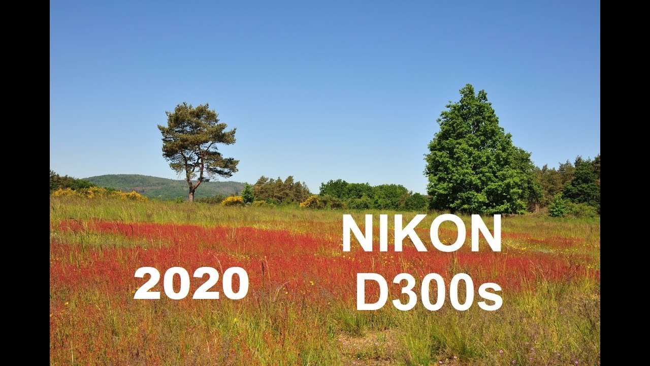Photo Nikon D300s (2020)