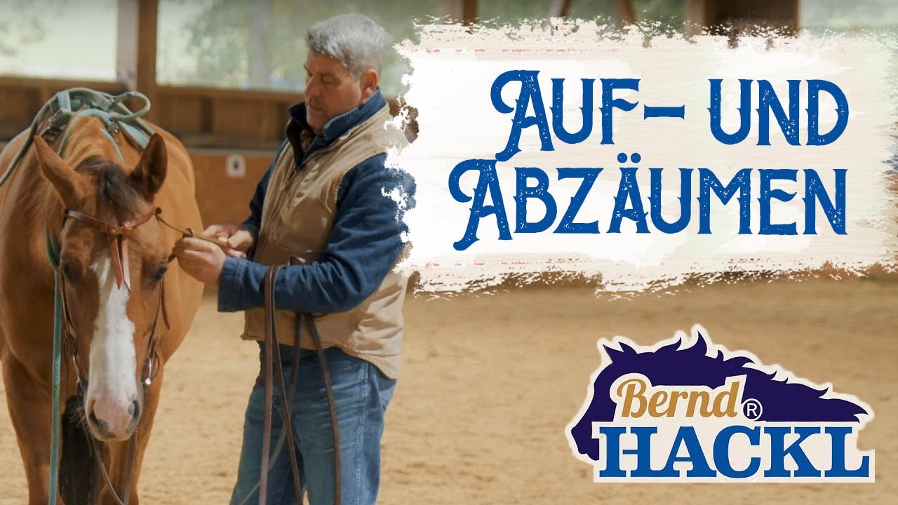 Auf- und Abz&auml;umen | Bernd Hackl erkl&auml;rt! 🐴
