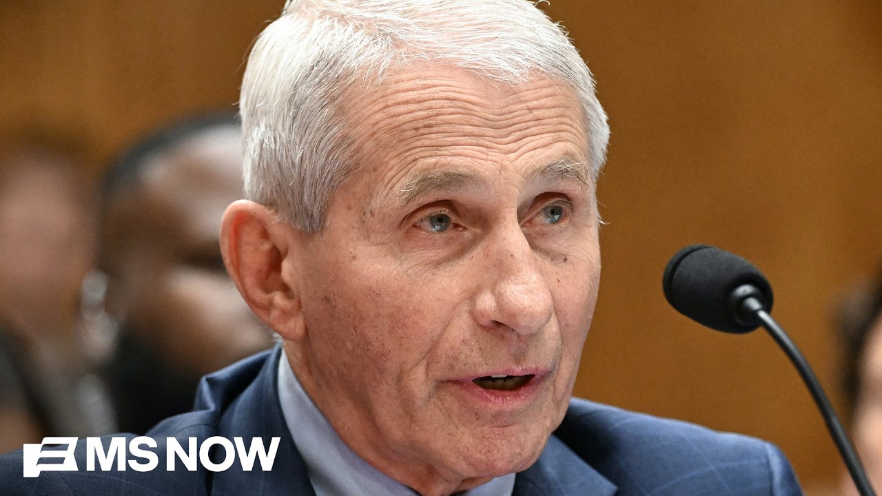 Dr. Anthony Fauci testifies in front of the Senate
