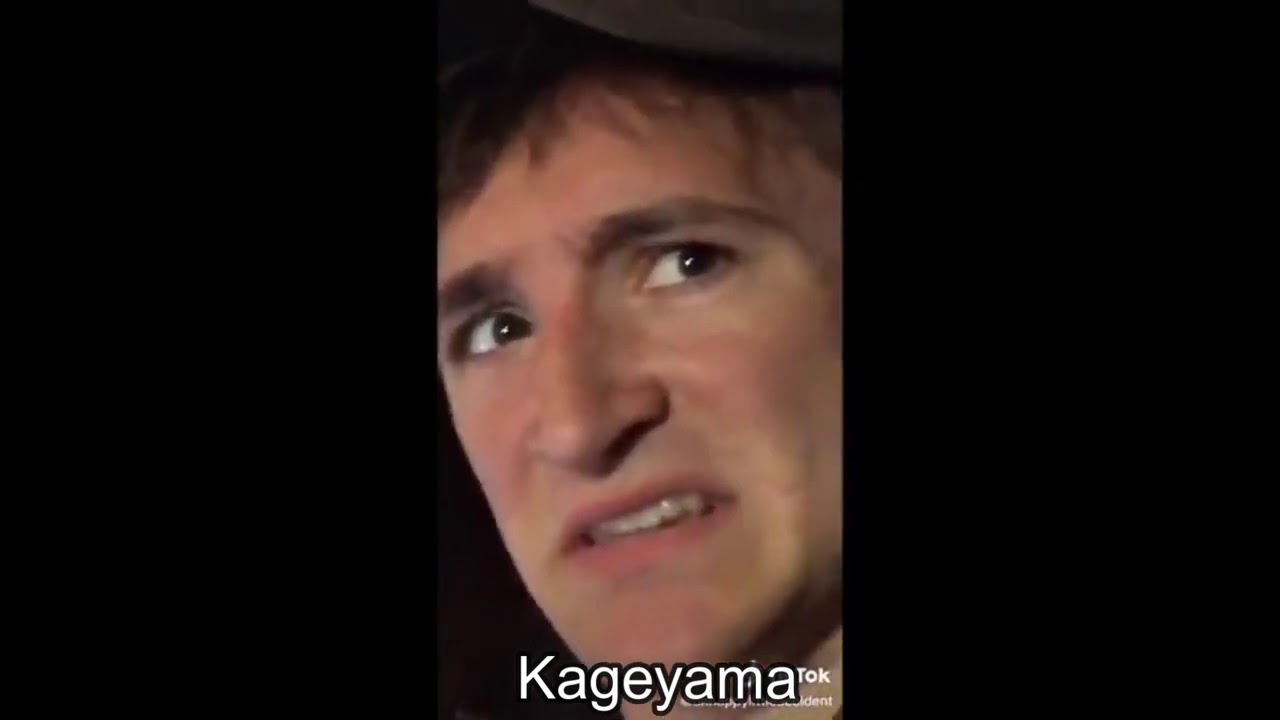 Haikyuu as Tiktoks but it's only the Schweiden Adlers