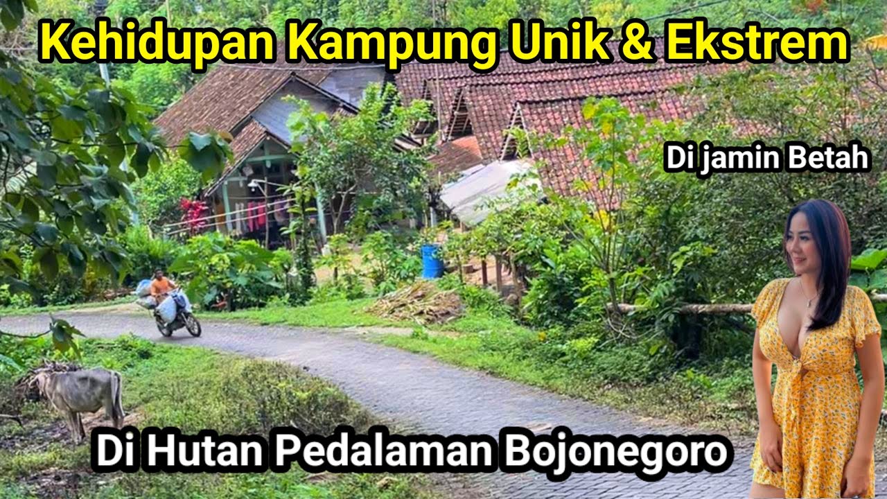 Blusukan Di Perkampungan Ds Malangmbong Bojonegoro Gadisnya Cantik Cantik