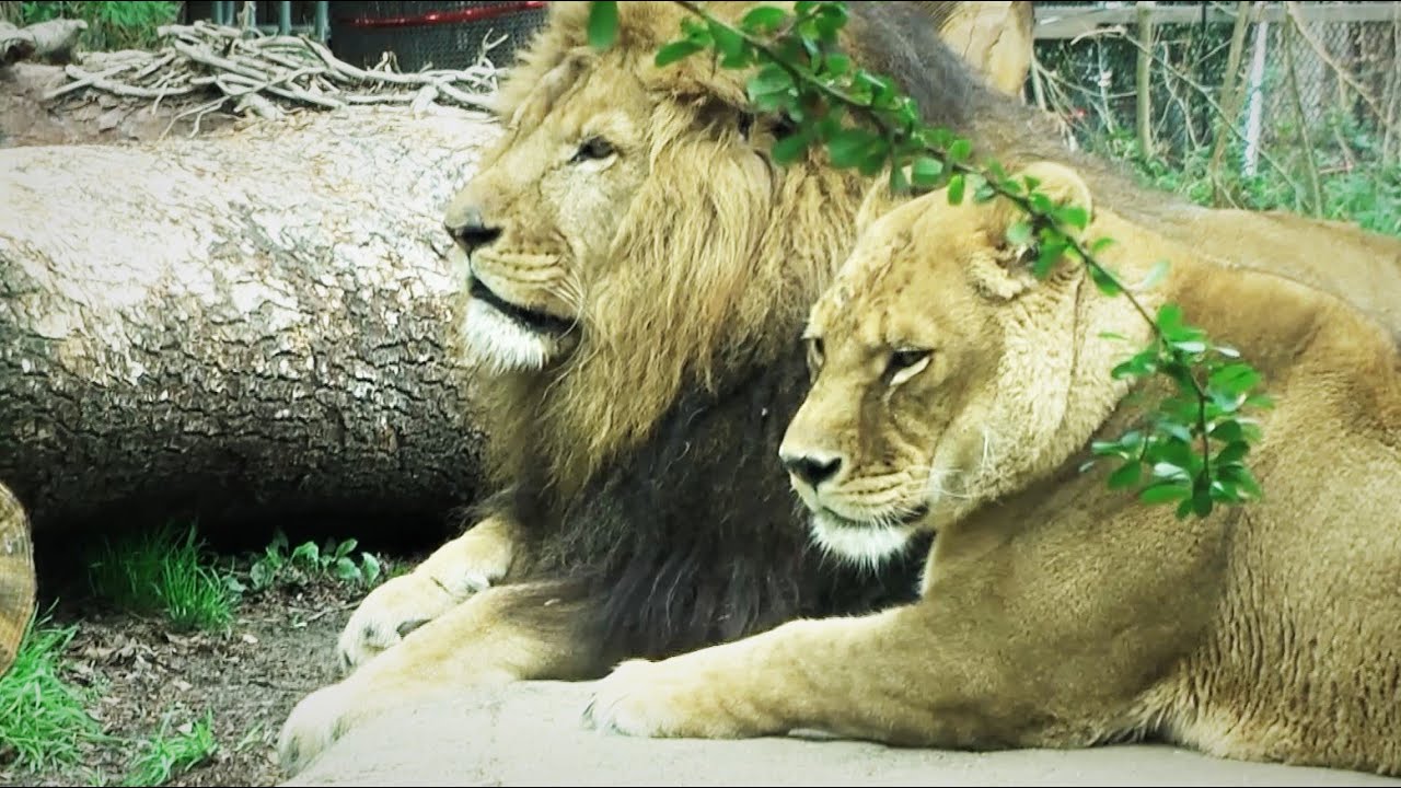 同居を始めました･･･その２