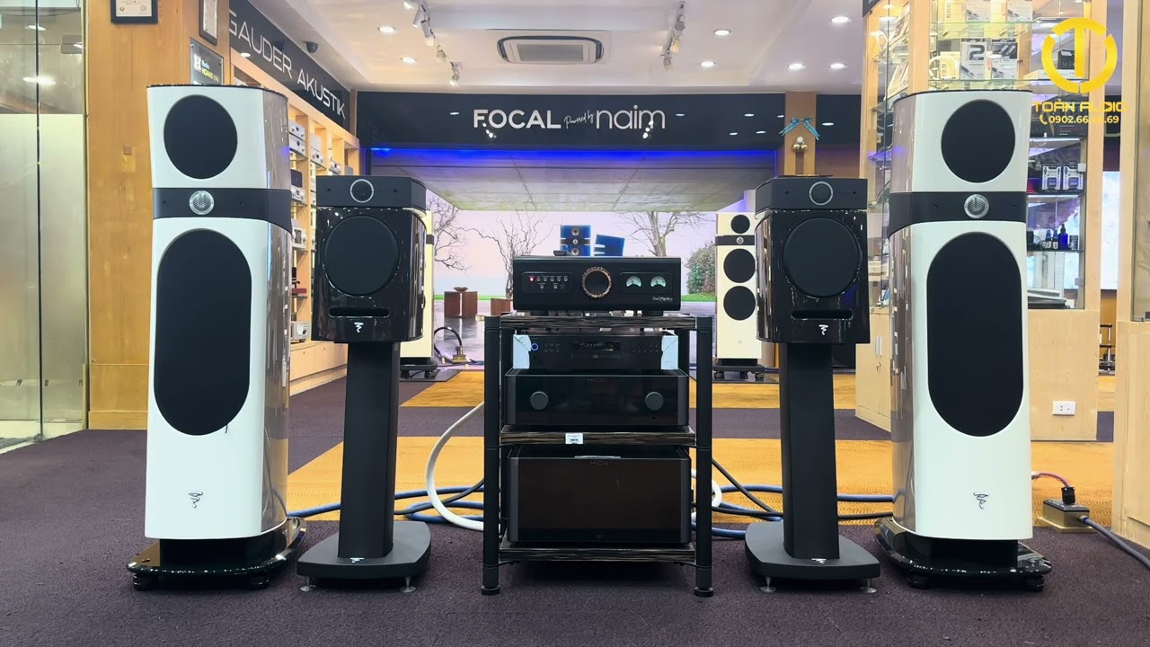 Toản Audio : Chiếc amplifier DanD’agostino Progession  tuyệt hay ghép Focal Sopra No3