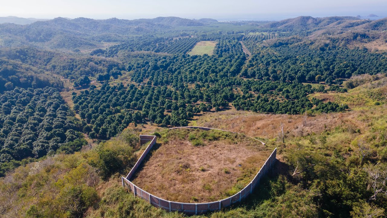 El Tecuan Short Film 4K  #naturetherapyfilms