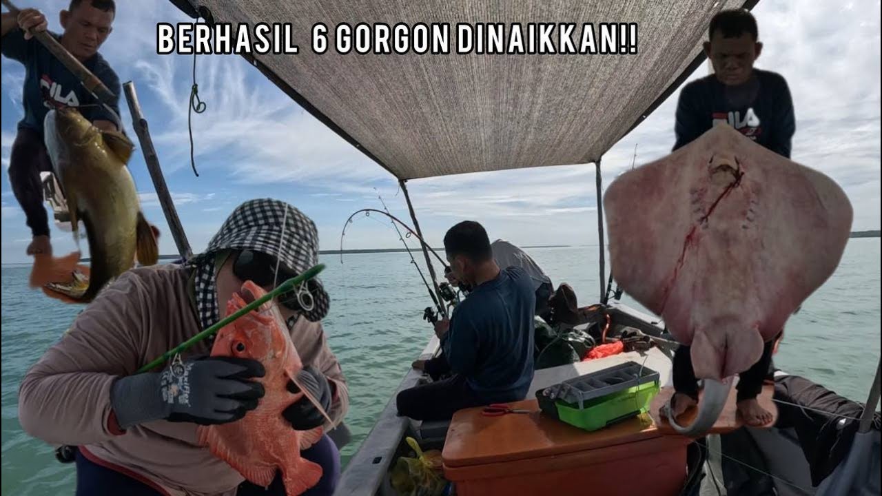 TARIKAN PADU BERTUBI BERTUBI !!! GORGON PECAH TONG !! AYAHNDA SAMPAI PENAT MENARIK?!!!!!
