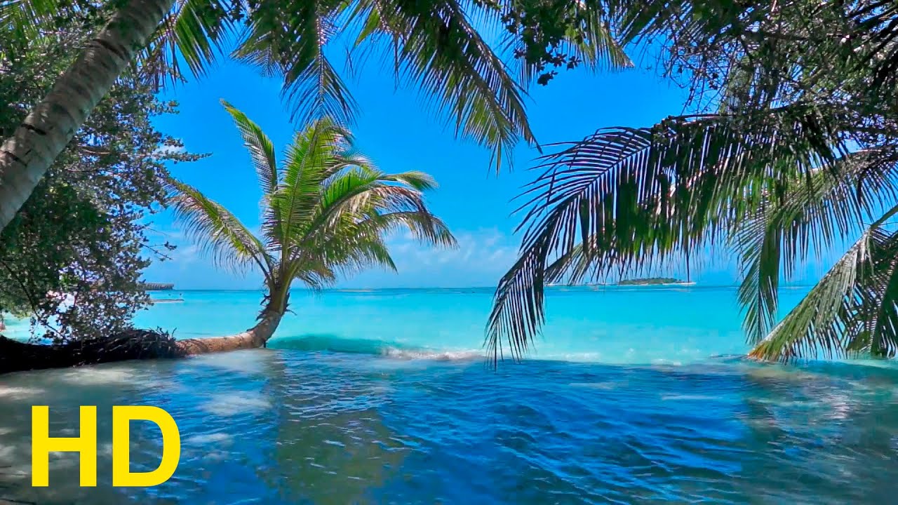 Relaxing Beach - Pan Flute Music and  Nature