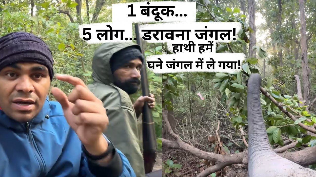 1 बंदूक, 5 लोग और हम हाथी पर बैठे घने जंगल में पहुँचे… जहाँ इंसान नहीं, सिर्फ हाथी जा सकता है!