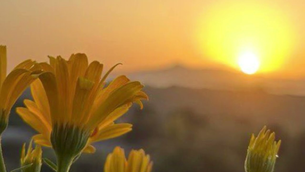 ¿El perdón es un sentimiento? Colosenses 3:13