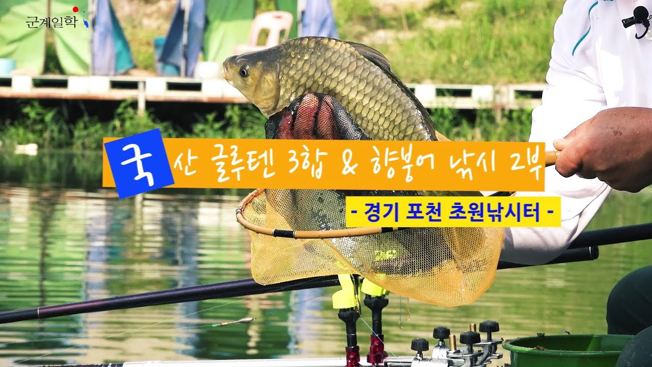 [양어장] 39.국산 글루텐 3합 & 향붕어 낚시 2부 - 경기 포천 초원낚시터(2019.8.28)