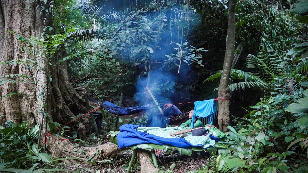 นอนป่าลึกยุคไดโนเสาร์ ชมธรรมชาติโลกล้านปี ต้องระวังตะขาบยักษ์ใต้ขอนไม้แบบนี้ [วรวิช]