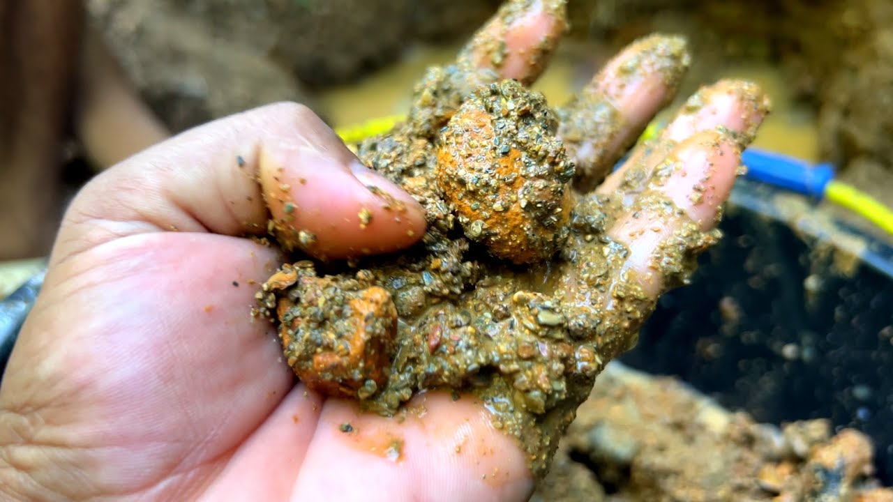 ВАУ,. УДИВИТЕЛЬНОЕ ОТКРЫТИЕ ЗОЛОТА, ПОИСК ЗОЛОТА, ЗОЛОТАЯ ЛИХА, ТРАДИЦИОННАЯ ПРОМЫВКА ЗОЛОТА