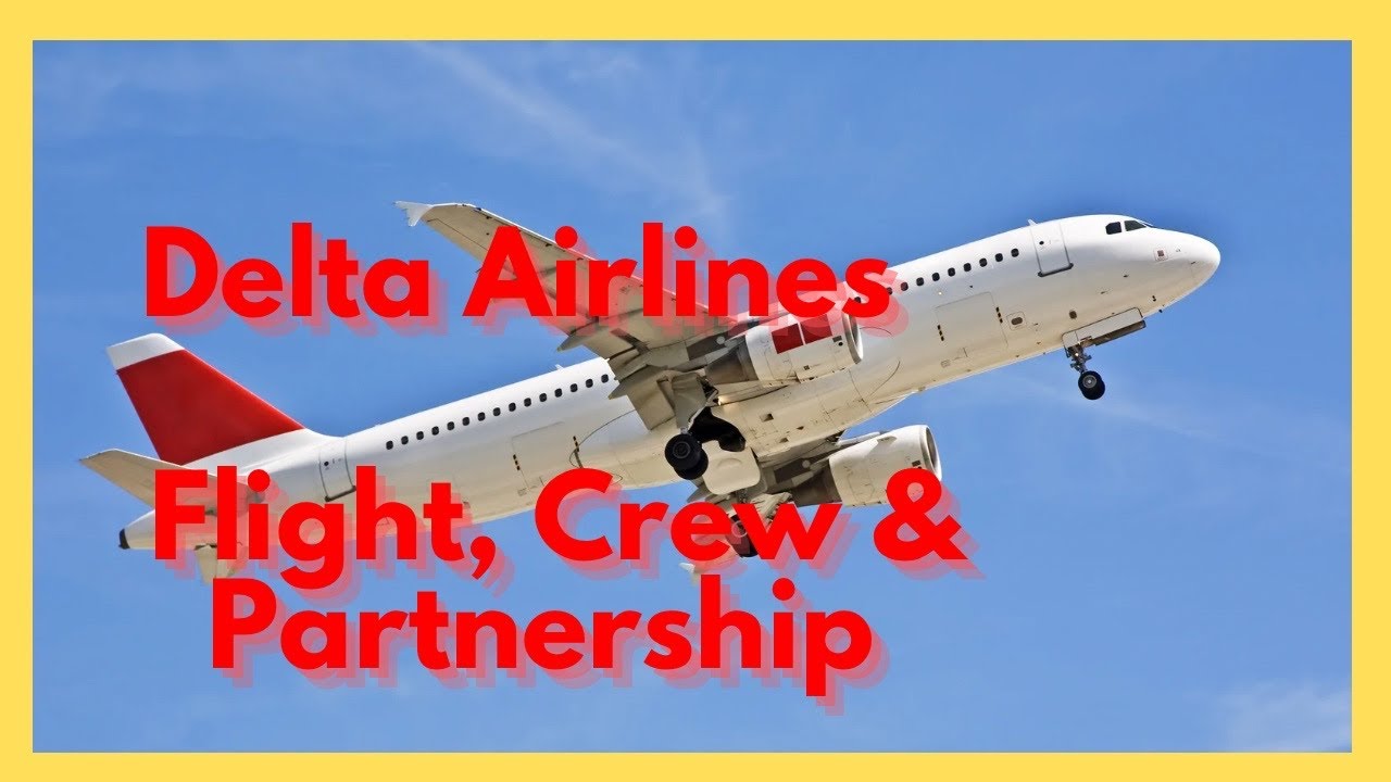 Delta Airlines Drama: Could You Handle a Delta In-Flight Emergency?
