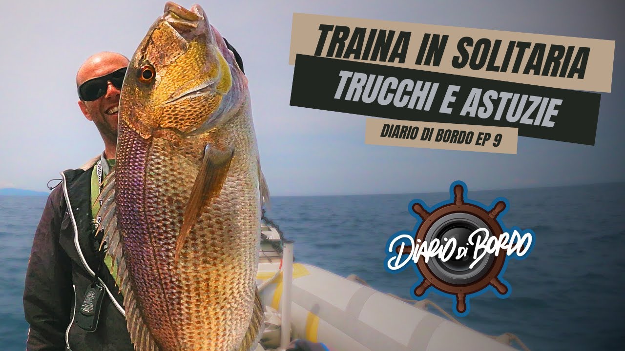 TRAINA CON IL VIVO IN SOLITARIA - TUTORIAL COMPLETO CON CATTURE - Diario Di Bordo EP. 9