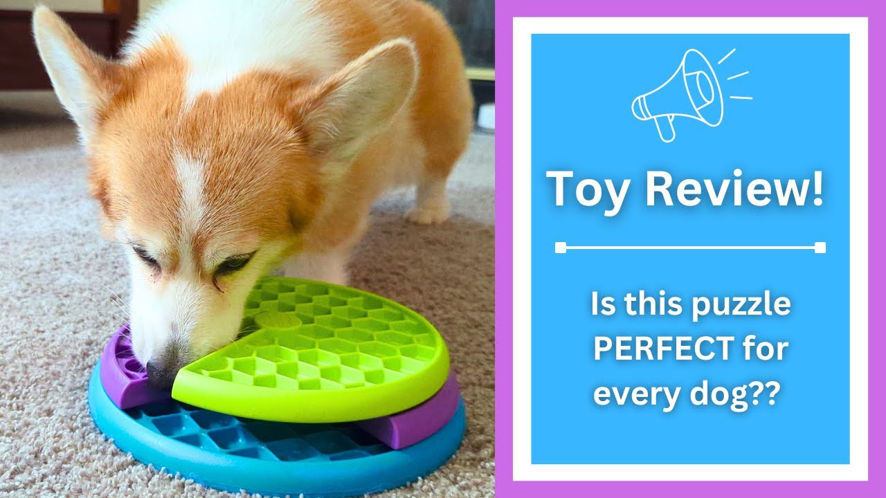 2 Minute Toy Review // Lickin' Layers Nina Ottosson