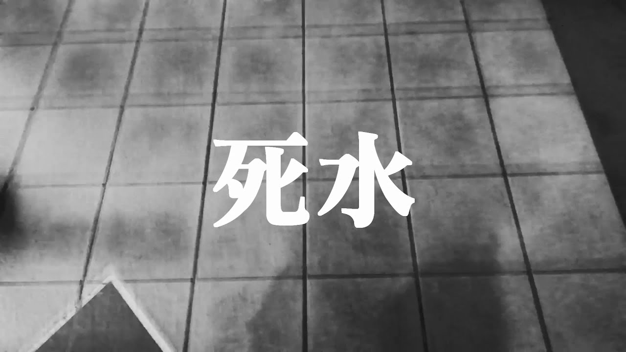 楊舒雅-死水people died (Prod. Lee) Lyrics Video