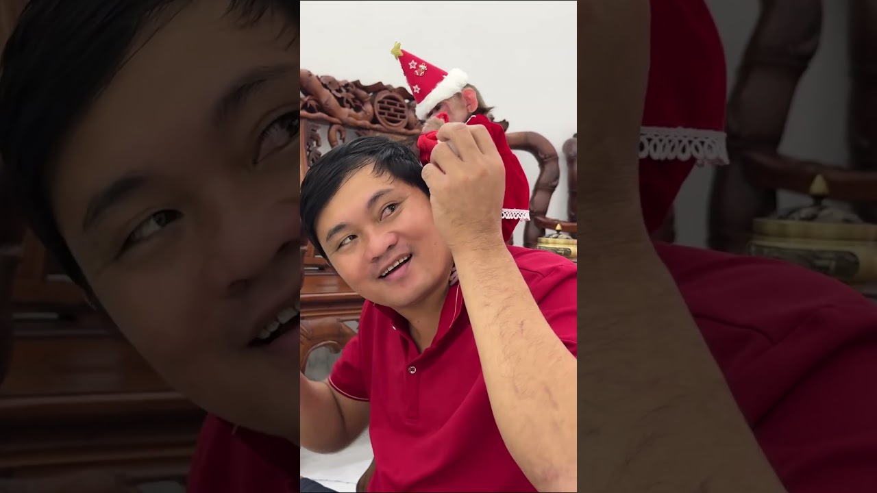Baby Monkey and Dad celebrate Christmas 2 