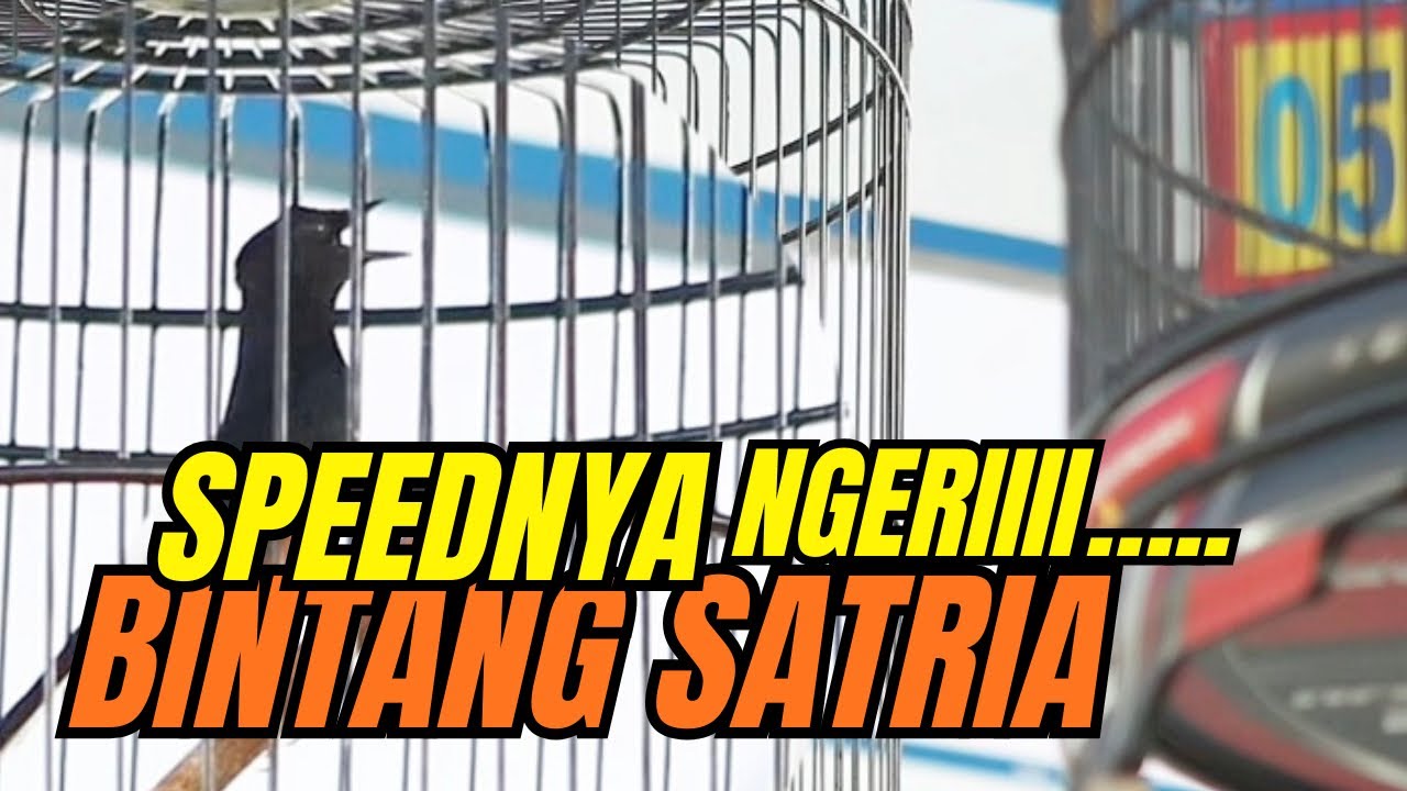 EDAAAAAN ‼️ KALAH TOSS DI TIKET UTAMA KERJANYA BIKIN PENONTON BENGONG 🔥