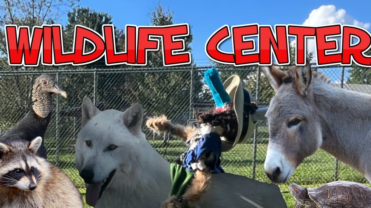 Upper Schuylkill Valley WILDLIFE Park || Puppets Gone Wild Episode 4