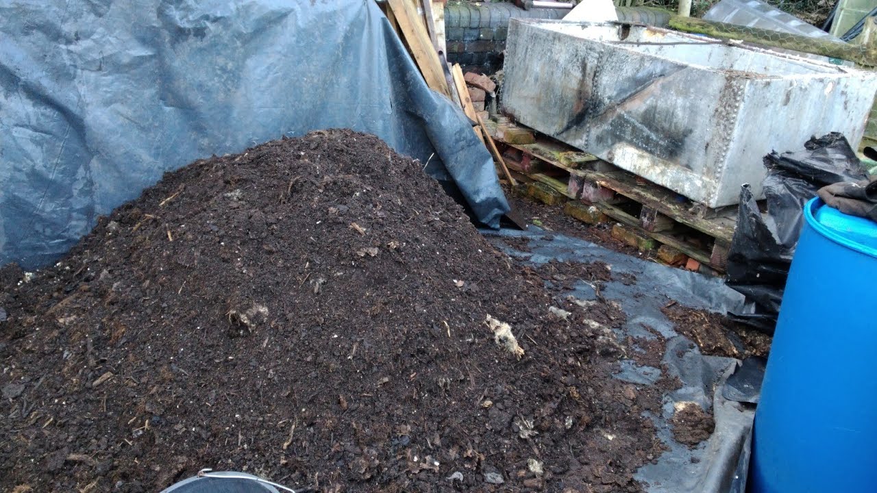 Part 2 🪱1500ltrs Of Home Made Compost After 12 months In My Massive Wormery 