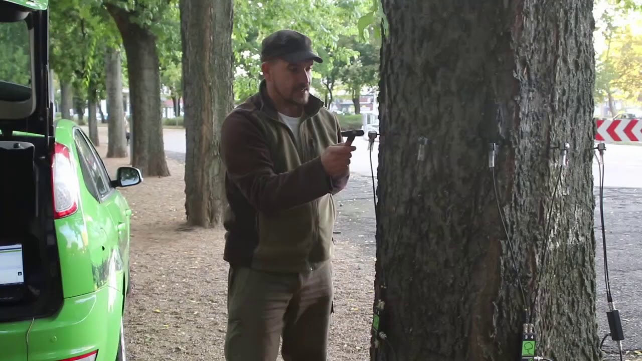 FOKOPP
