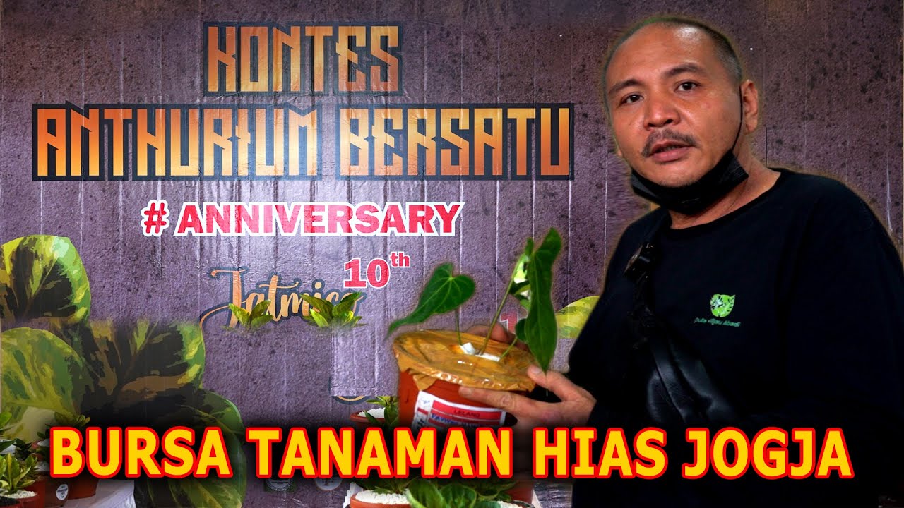 Kontes Anthurium Bersatu 10 th ANNIVERSARY # Episode 18